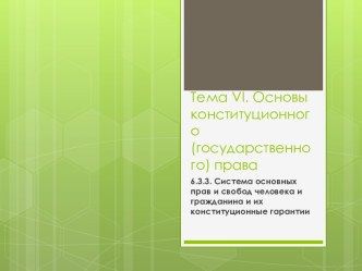 Система основных прав и свобод человека и гражданина и их конституционные гарантии