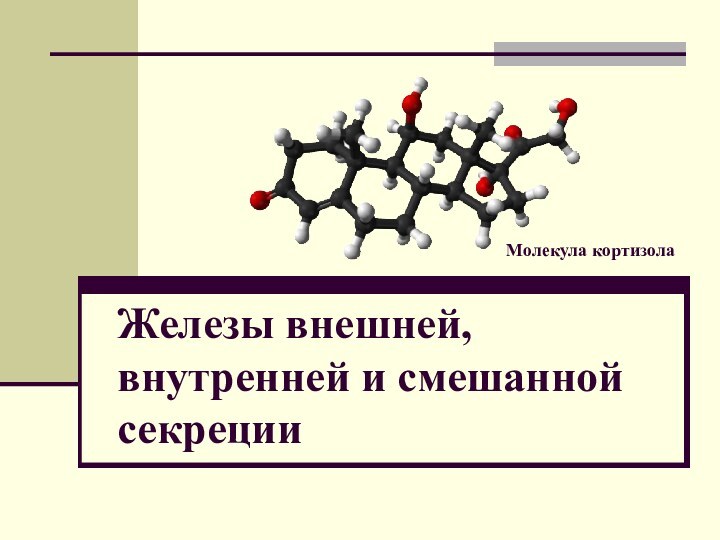 Железы внешней, внутренней и смешанной секрецииМолекула кортизола