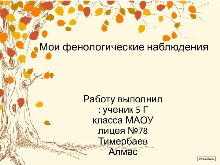 Мои фенологические наблюденияРаботу выполнил : ученик 5 Г класса МАОУ лицея №78 Тимербаев Алмас