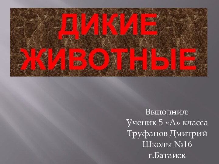 Дикие животныеВыполнил:Ученик 5 «А» классаТруфанов ДмитрийШколы №16г.Батайск