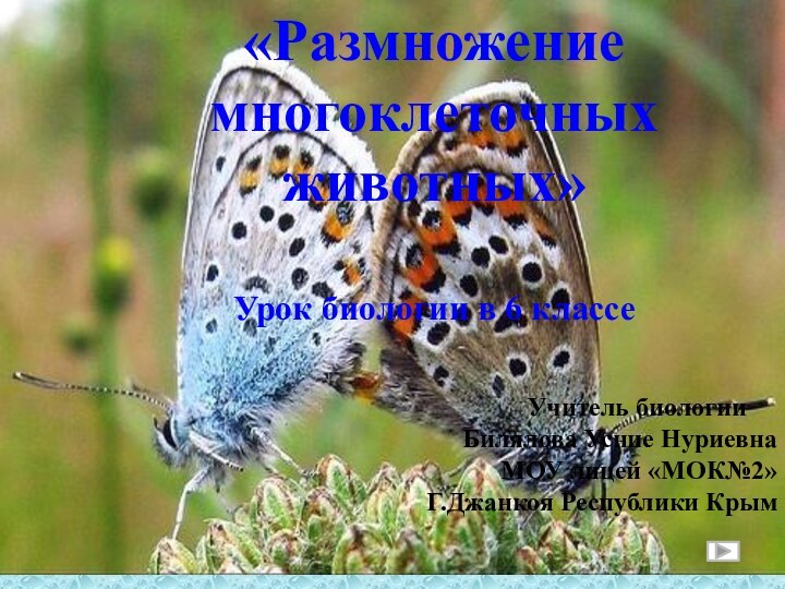 «Размножение многоклеточных животных»Урок биологии в 6 классе