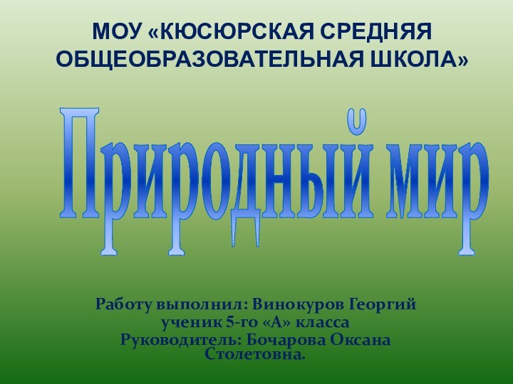 МОУ «Кюсюрская средняя общеобразовательная школа»Природный мирРаботу выполнил: Винокуров Георгий ученик 5-го «А» классаРуководитель: Бочарова Оксана Столетовна.