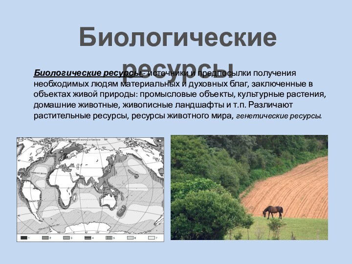 Биологические ресурсыБиологические ресурсы - источники и предпосылки получения необходимых людям материальных и