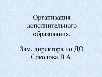 Организация дополнительного образования