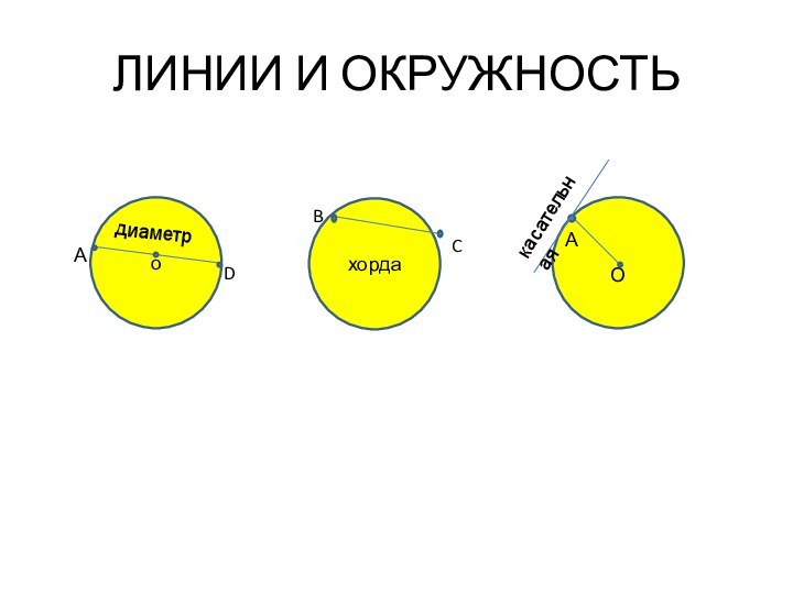 ЛИНИИ И ОКРУЖНОСТЬохордаОдиаметрАDBCкасательнаяА