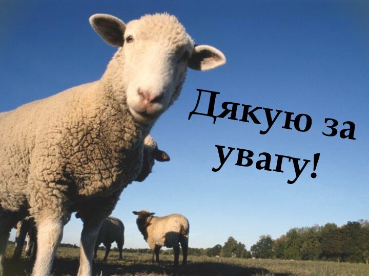 Дякую за увагу!