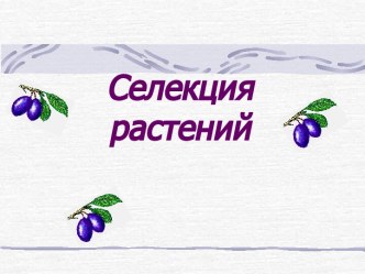 Селекция растений