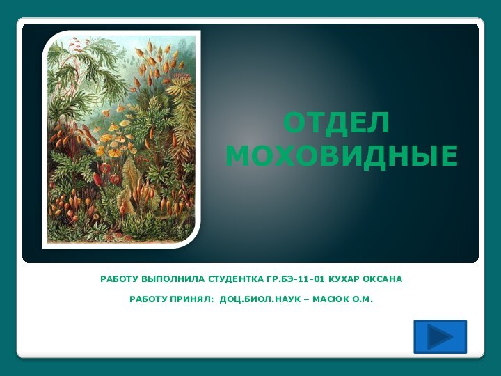 Отдел  моховидныеРаботу выполнила студентка гр.БЭ-11-01 кухар ОксанаРаботу принял: доц.биол.наук – Масюк О.М.