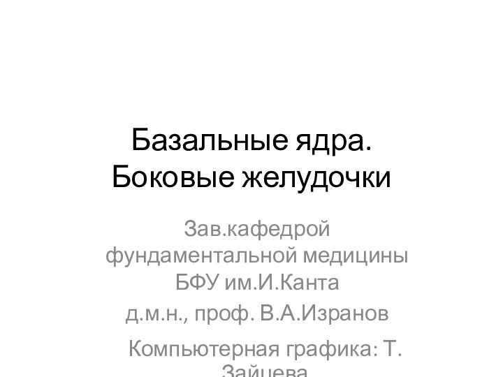 Базальные ядра.  Боковые желудочкиЗав.кафедрой фундаментальной медицины БФУ им.И.Кантад.м.н., проф. В.А.ИзрановКомпьютерная графика: Т.Зайцева