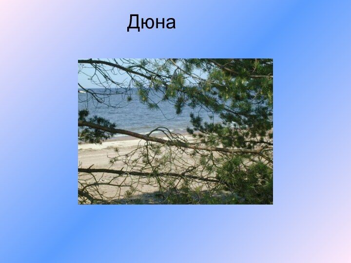 Дюна