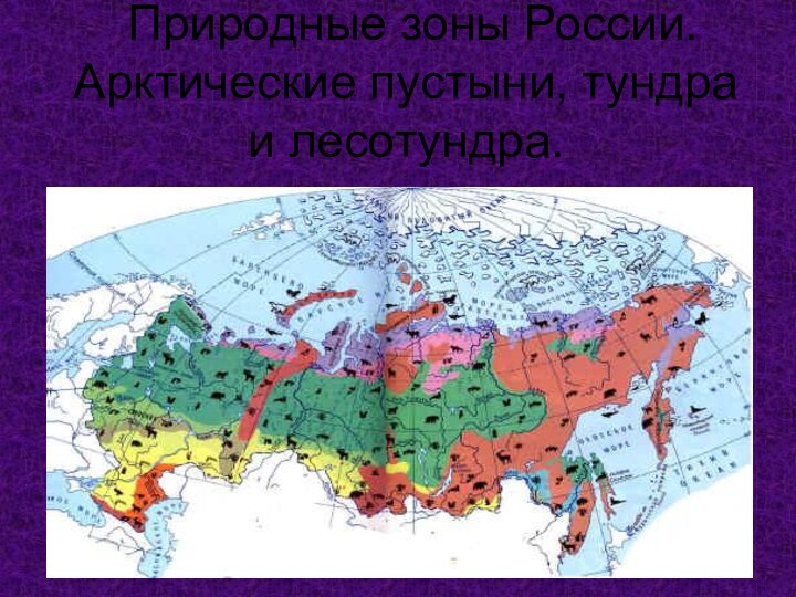 Природные зоны России. Арктические пустыни, тундра и лесотундра.