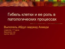 Гибель клетки и ее роль в патологических процессах