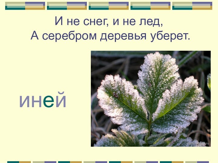 И не снег, и не лед,  А серебром деревья уберет.иней