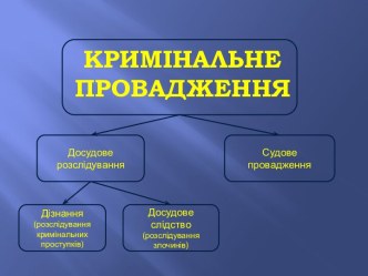 КРИМІНАЛЬНЕ ПРОВАДЖЕННЯ