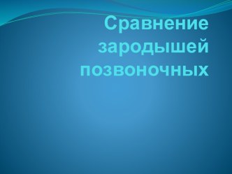 Сравнение зародышей  позвоночных