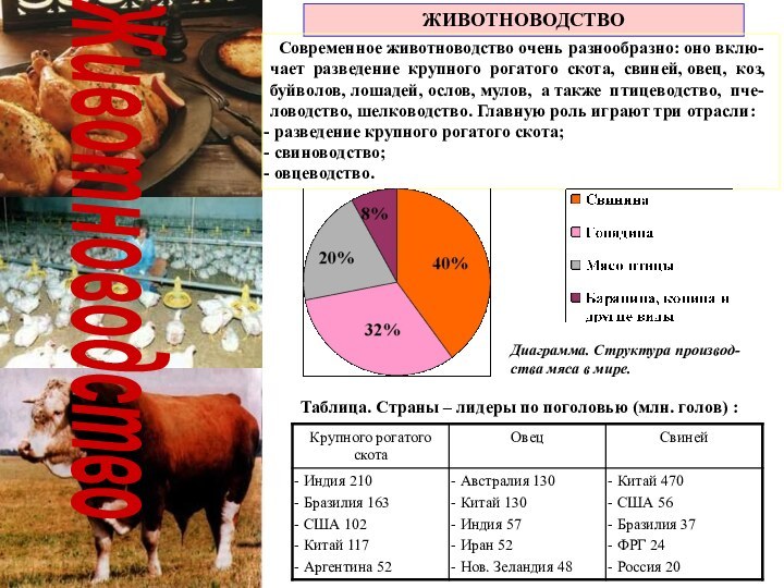 ЖивотноводствоЖИВОТНОВОДСТВО Современное животноводство очень разнообразно: оно вклю-чает разведение крупного рогатого скота, свиней,