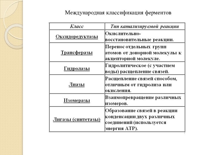 Международная классификация ферментов