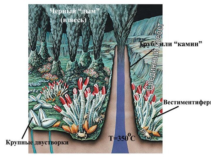 Срединный хребет