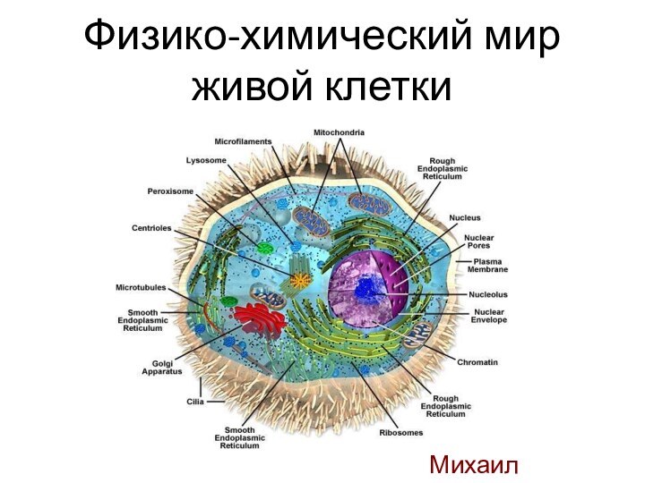 Физико-химический мир живой клетки Михаил Пантелеев