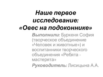 Исследование: Овес на подоконнике