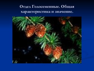 Отдел Голосеменные. Общая характеристика и значение