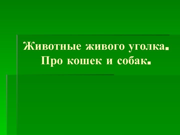 Животные живого уголка. Про кошек и собак.