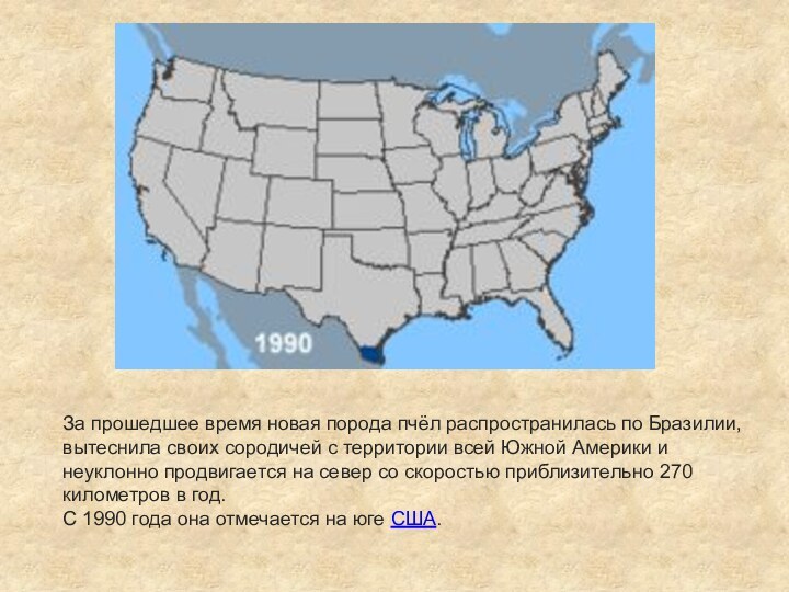 За прошедшее время новая порода пчёл рас­пространилась по Бразилии, вытеснила своих сородичей