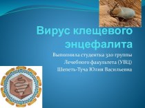 Вирус клещевого энцефалита