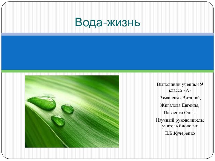 Выполнили ученики 9 класса «А»Романенко Виталий,Жигалова Евгения,Павленко ОльгаНаучный руководитель: учитель биологии Е.В.КучеренкоВода-жизнь