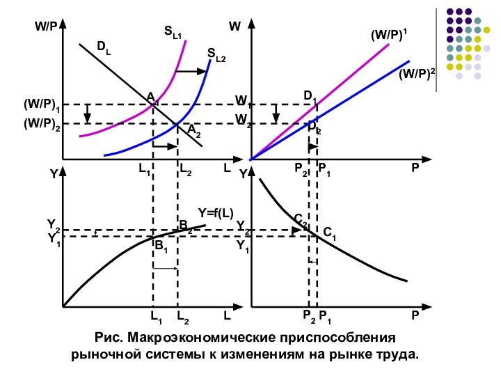 Рис. Макроэкономические приспособления рыночной системы к изменениям на рынке труда.W/PWLPYYLP(W/P)1W1L1P1Y1Y1 L1P1A1D1B1C1DLSL1Y=f(L)L2 L2A2(W/P)2Y2Y2B2C2   P2D2W2P2SL2(W/P)1(W/P)2