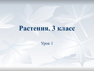 Растения