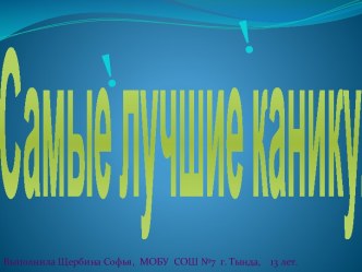 Самые лучшие каникулы