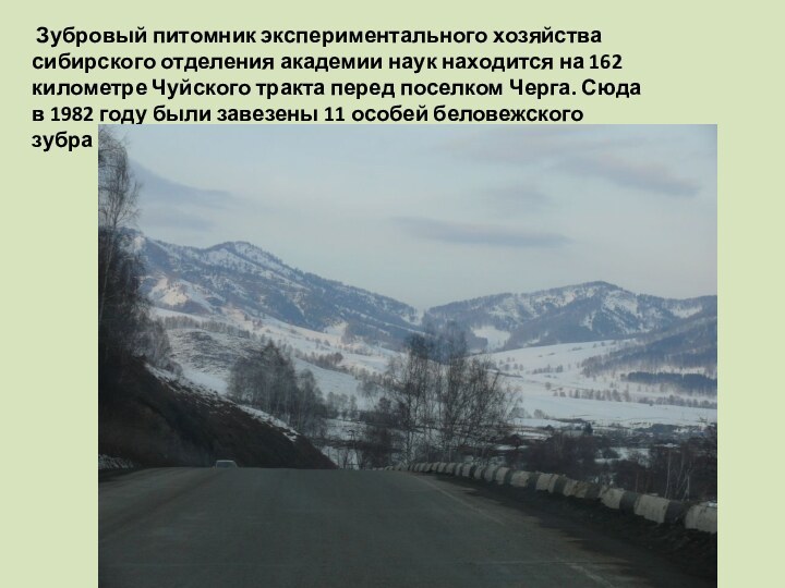 Зубровый питомник экспериментального хозяйства сибирского отделения академии наук находится на 162