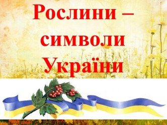 Рослини – символи України