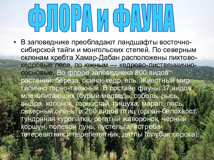 В заповеднике преобладают ландшафты восточно-сибирской тайги и монгольских степей. По северным склонам