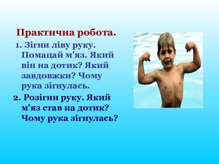 Практична робота. 1. Зігни ліву руку. Помацай м'яз. Який він на