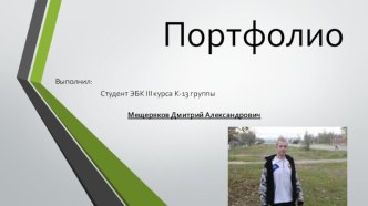 Портфолио