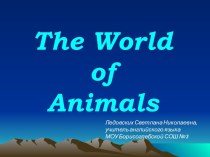 The World of Animals