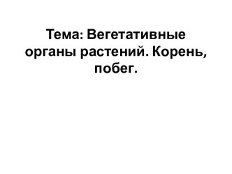 Вегетативные органы растений. Корень, побег