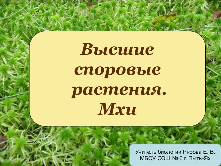 Высшие споровые растения.МхиУчитель биологии Рябова Е. В. МБОУ СОШ № 6 г. Пыть-Ях