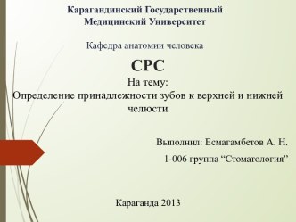 СРСНа тему: Определение принадлежности зубов к верхней и нижней челюсти