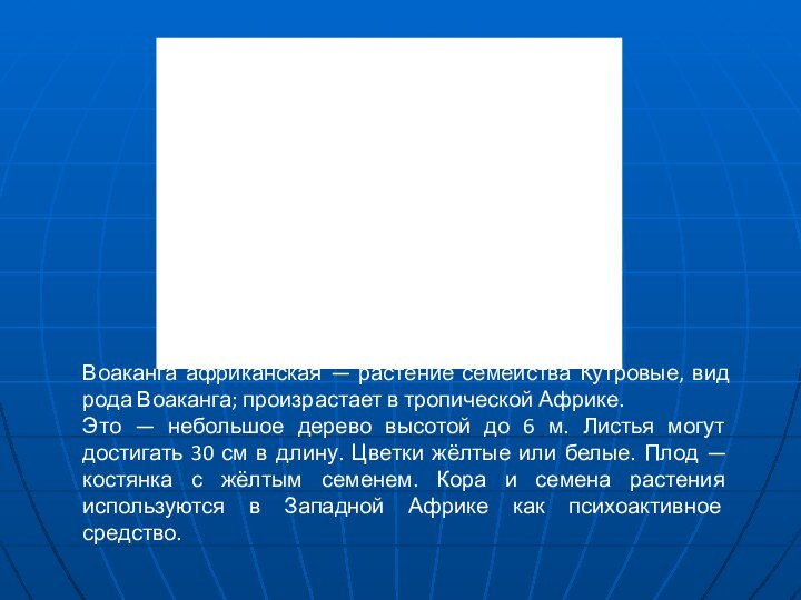 Воаканга африканская — растение семейства Кутровые, вид рода Воаканга; произрастает в тропической