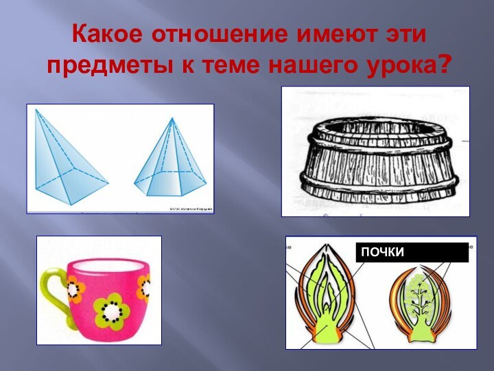 Какое отношение имеют эти предметы к теме нашего урока?