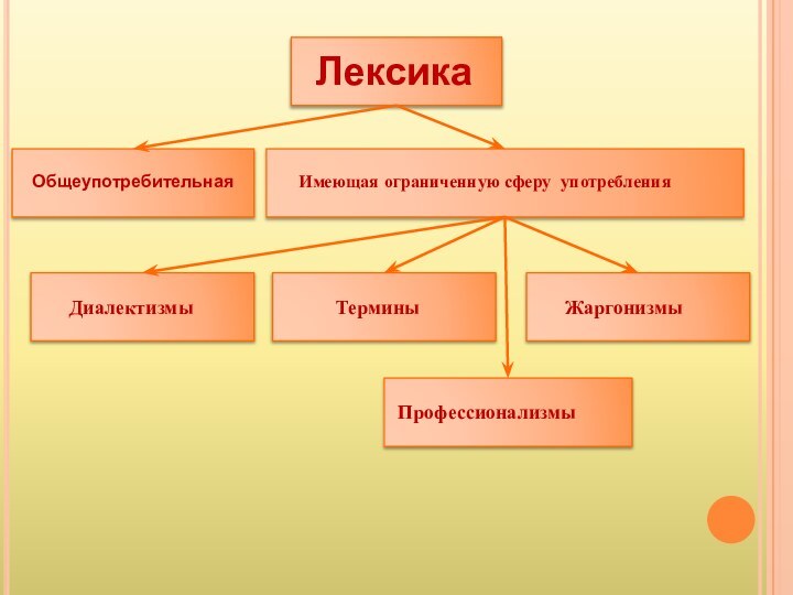 ЛексикаОбщеупотребительнаяИмеющая ограниченную сферу употребленияДиалектизмыТерминыЖаргонизмыПрофессионализмы