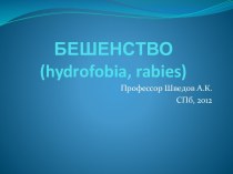 БЕШЕНСТВО(hydrofobia, rabies)