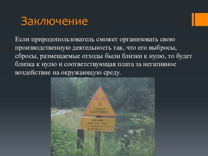 ЗаключениеЕсли природопользователь сможет организовать свою производственную деятельность так, что его выбросы, сбросы,