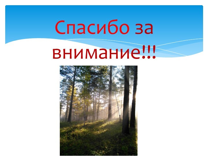 Спасибо за внимание!!!