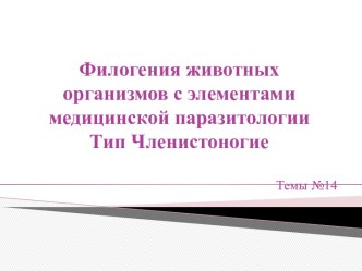 Филогения животных организмов с элементамимедицинской паразитологииТип Членистоногие