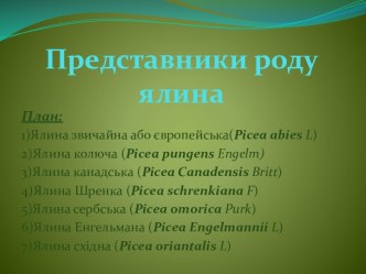 Представники роду ялина