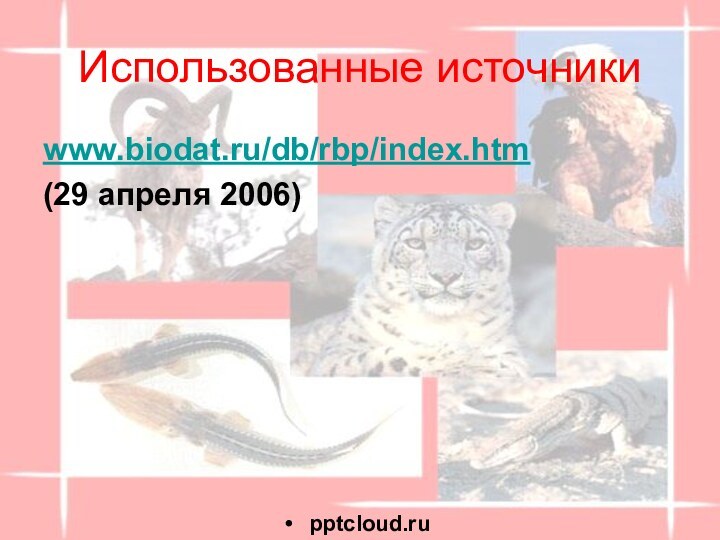 Использованные источникиwww.biodat.ru/db/rbp/index.htm (29 апреля 2006)